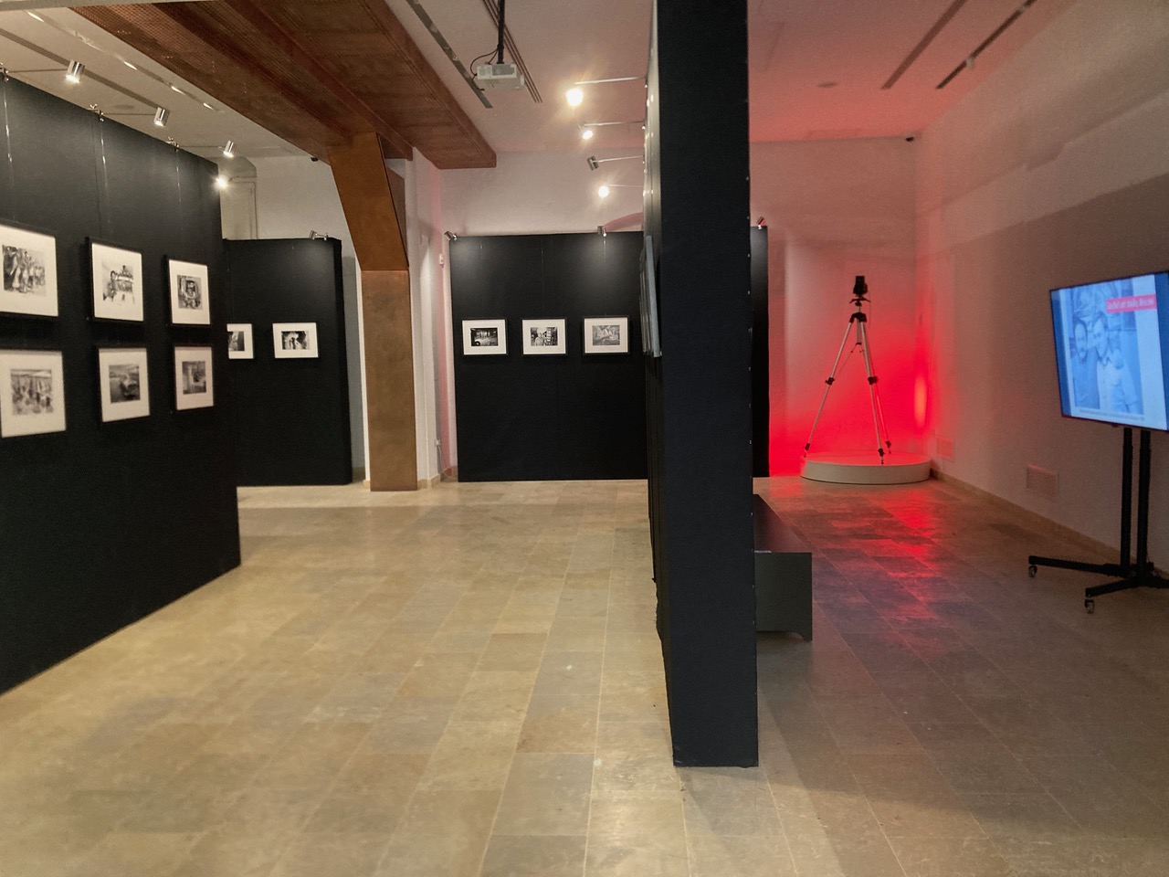 IMG_7134 Caged Spaces exhibition June 2024